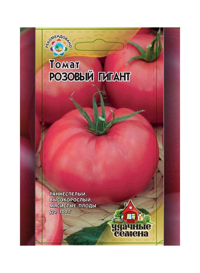 Томат испанский гигант: характеристика и описание сорта, отзывы об урожайности помидоров, фото куста в высоту