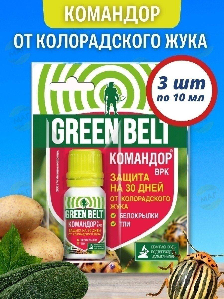 Топ-5 лучших средств от колорадского жука | +отзывы