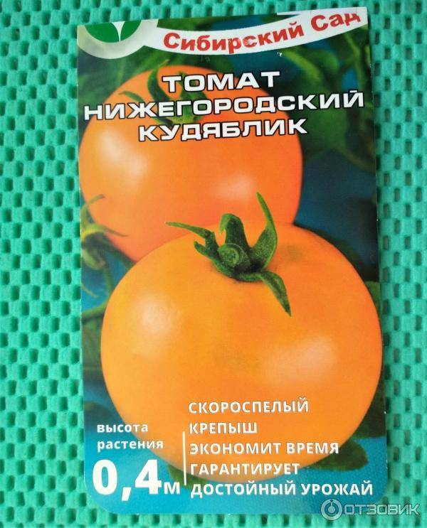 Томат сибирский малахит: характеристика и описание сорта с фото