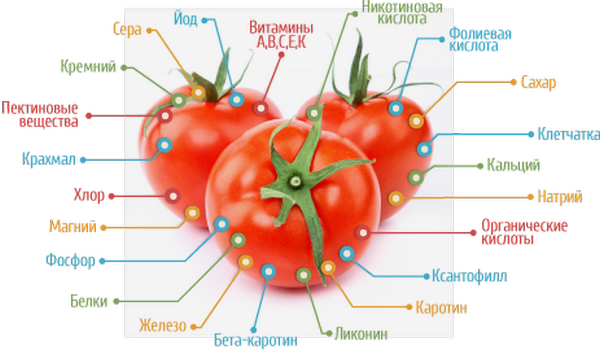 Помидоры (томат) - описание, состав, калорийность и пищевая ценность - patee. рецепты