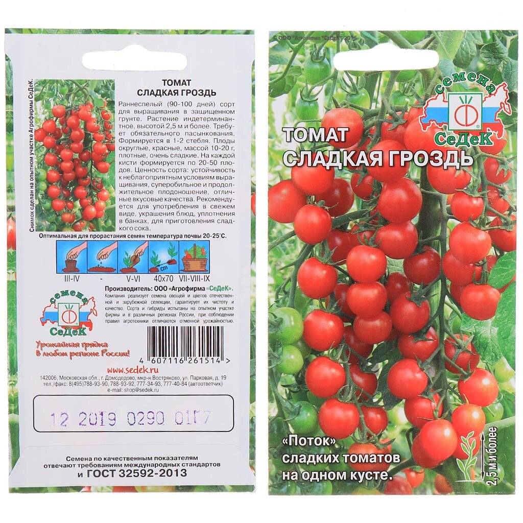 Томат сибирский гроздевой: характеристика и описание сорта от сиб сад, отзывы об урожайности помидоров, фото куста