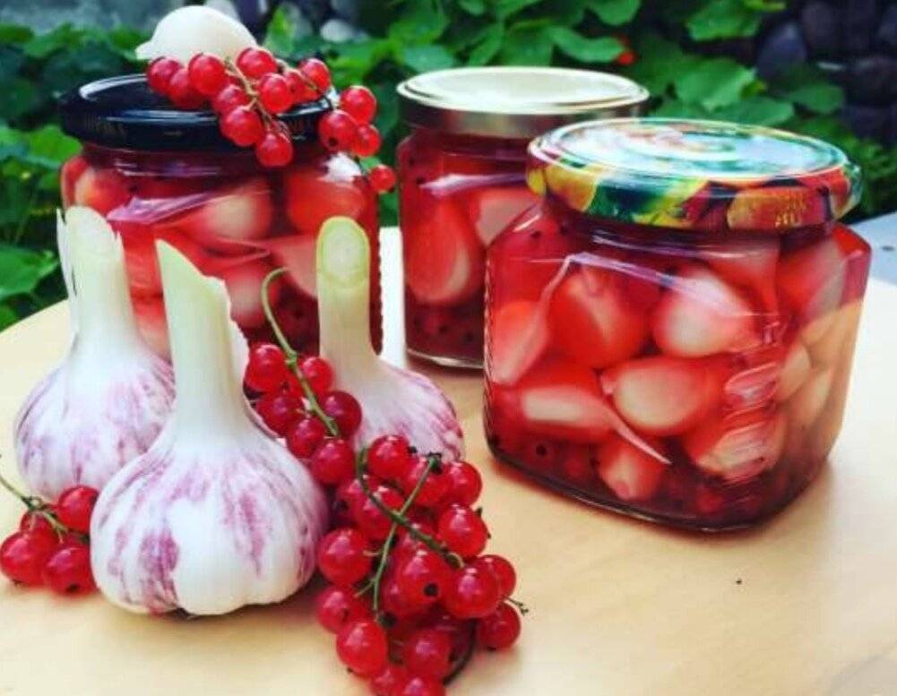 Лучшие рецепты маринованного чеснока с красной смородиной на зиму