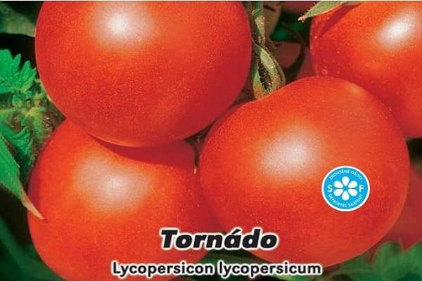 Томат "торнадо f1": описание и характеристики гибридного сорта, фотографии плодов-помидоров русский фермер