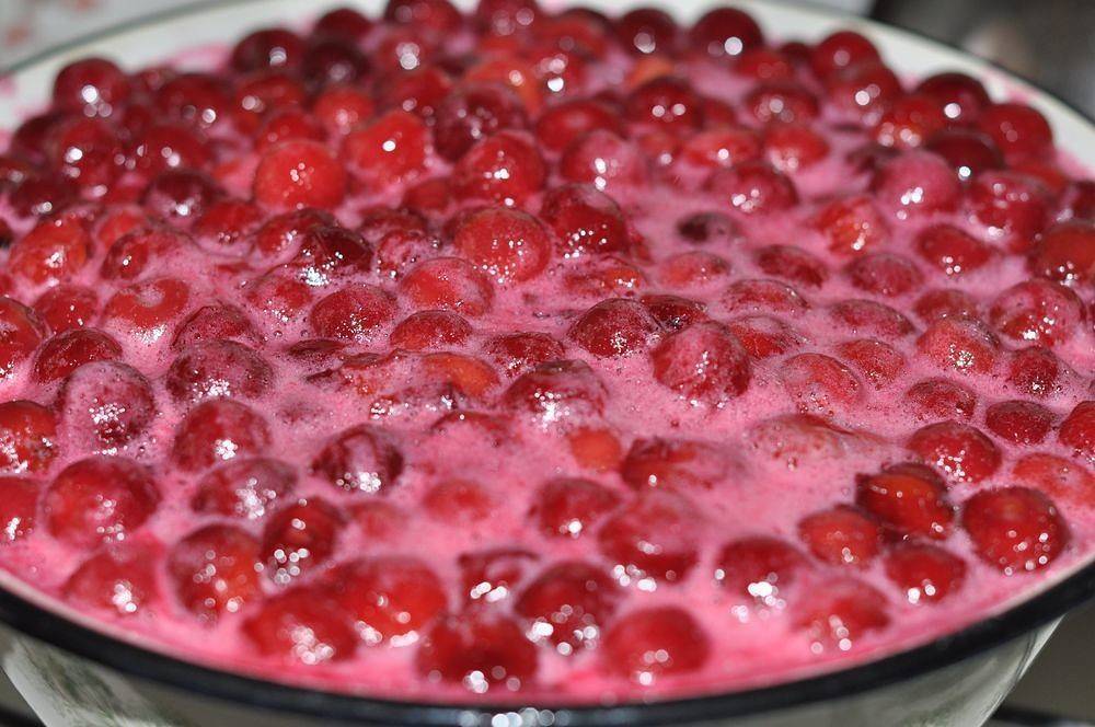 Наши любимые рецепты вишни в желатине