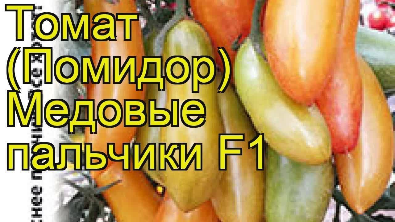 Томат медовые пальчики f1: характеристика и описание гибридного сорта с фото