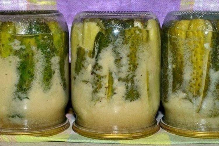Огурцы с горчицей без стерилизации в банках на зиму - 23 рецепта с пошаговыми фото