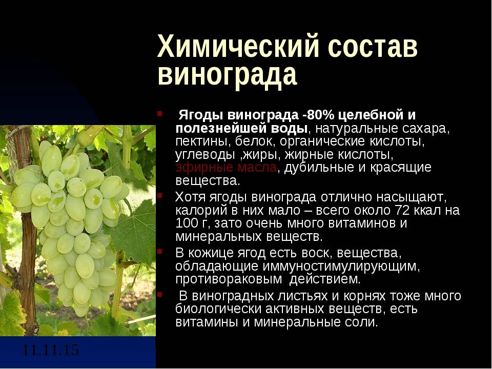 Чем полезен виноград для организма человека?