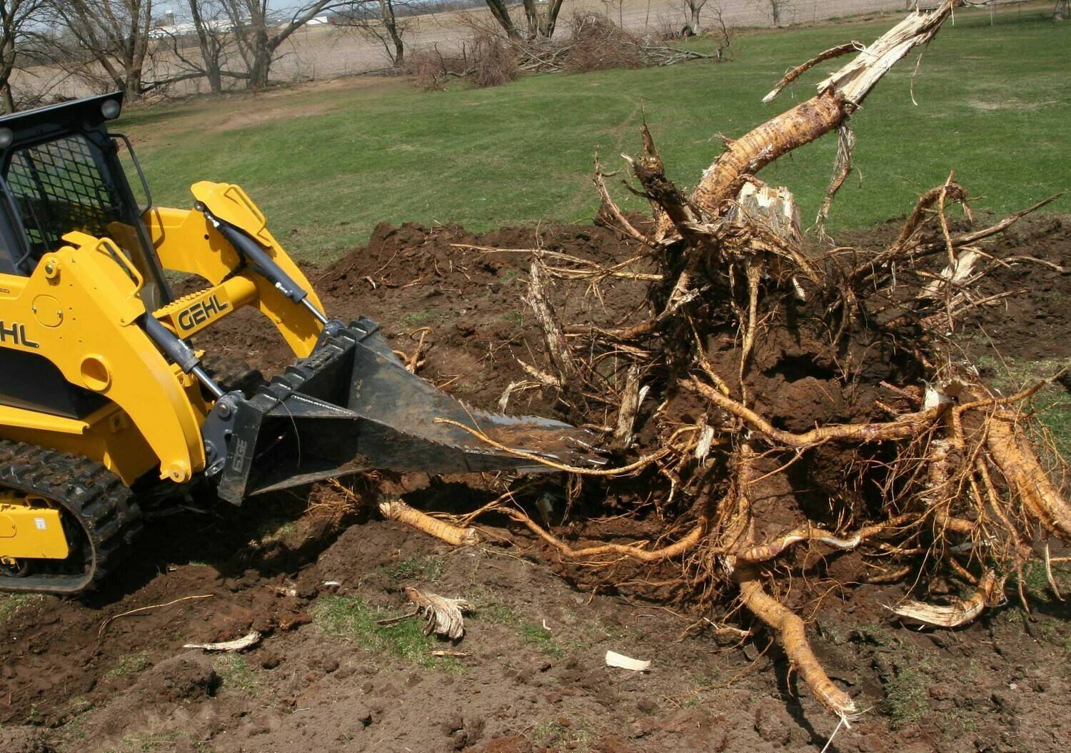 Как избавиться от поросли деревьев