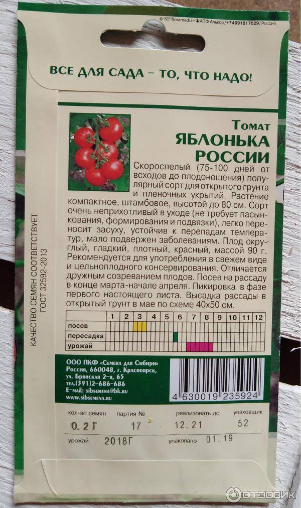 Любимец отечественных дачников, самый неприхотливый в уходе и при этом высокоурожайный томат «яблонька россии»