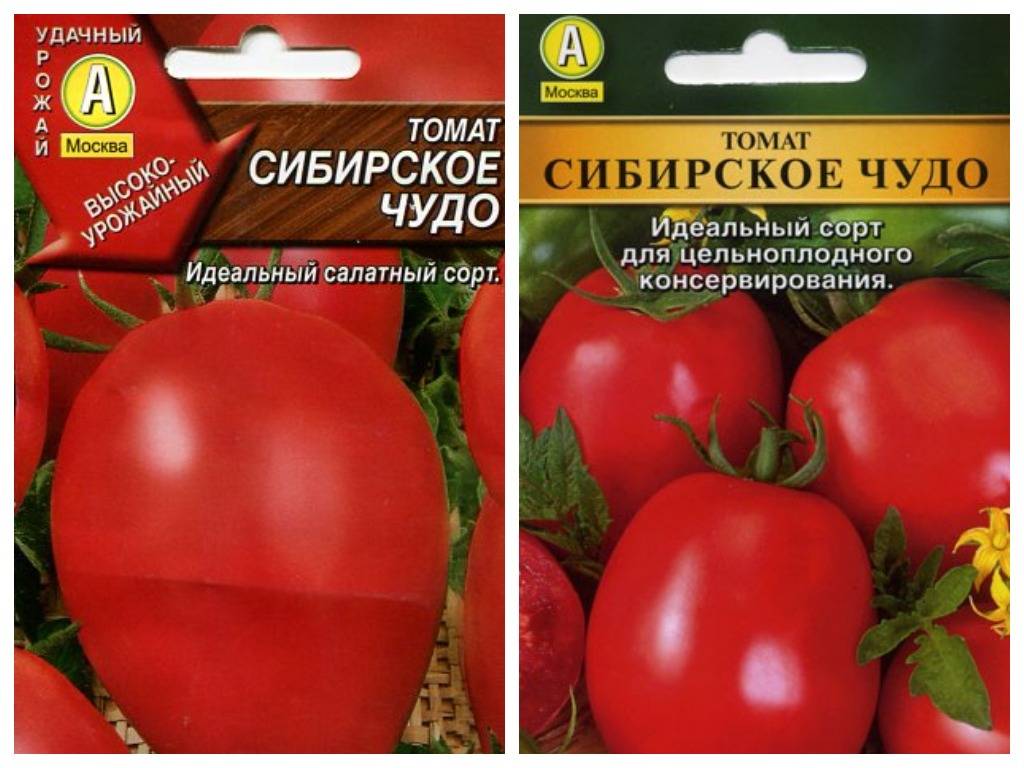 Томат сибирское чудо: характеристика и описание сорта, отзывы тех кто сажал помидоры об их урожайности, фото куста