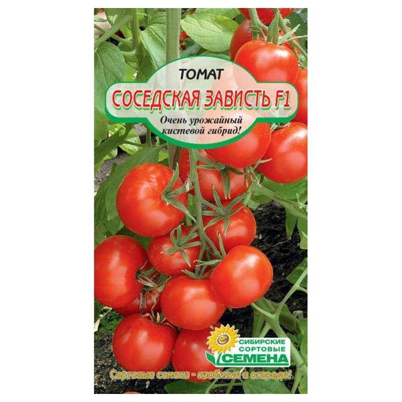 10 сортов кистевых томатов для теплиц и открытого грунта