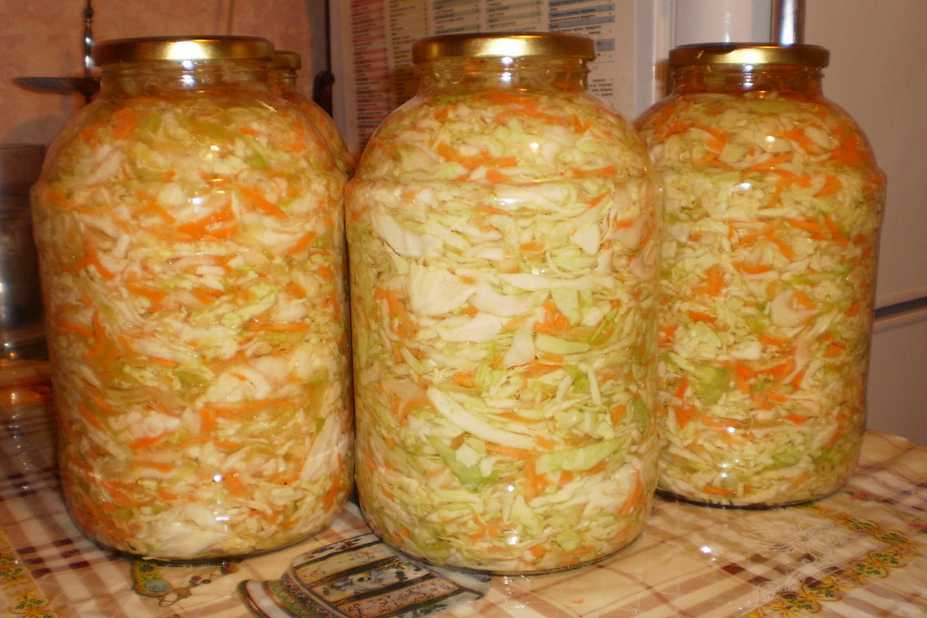 Маринованная капуста со свеклой: 5 вкусных рецептов быстрого приготовления
