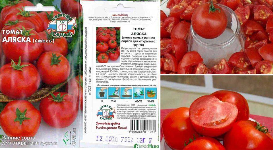 Суперранние сорта томатов для открытого грунта и для теплиц: обзор лучших, их описание, фото полученных плодов и отзывы дачников