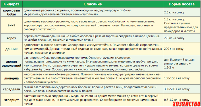 Сидераты - посев и перекопка (сроки, способы, +глубина заделки)