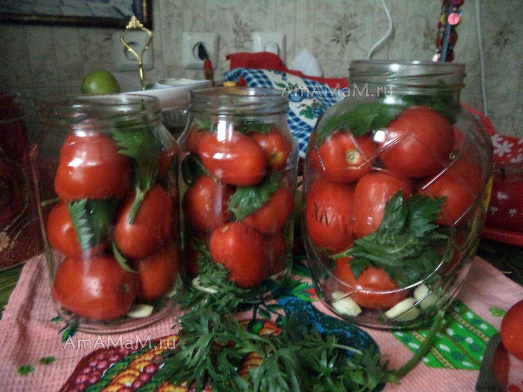 Зеленые помидоры на зиму — самые вкусные и простые рецепты