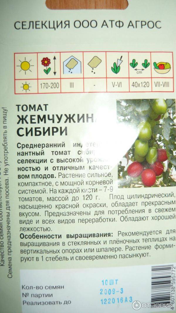 Томаты сибирской селекции: выбираем лучшие сорта и гибриды для открытого грунта и теплицы
