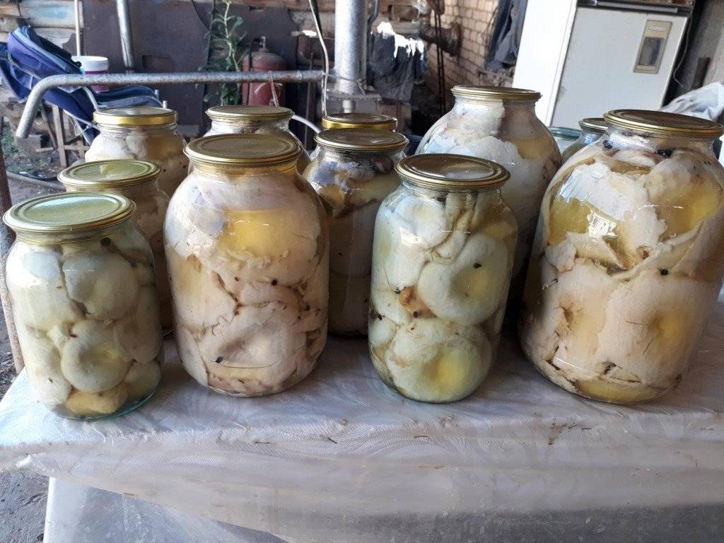 Груздь На Зиму Рецепты С Фото