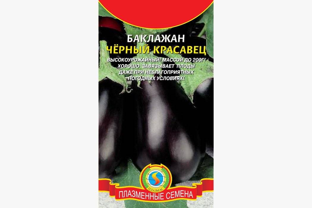 Баклажан щелкунчик: характеристика и описание сорта, особенности выращивания, сроки посева, фото, отзывы