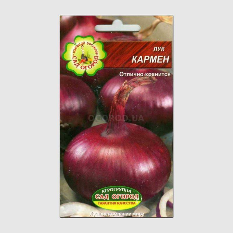 Лук кармен: описание сорта, севок и семена для посадки и выращивания, уход за красным репчатым овощем (ред мс), основные характеристики, фото
