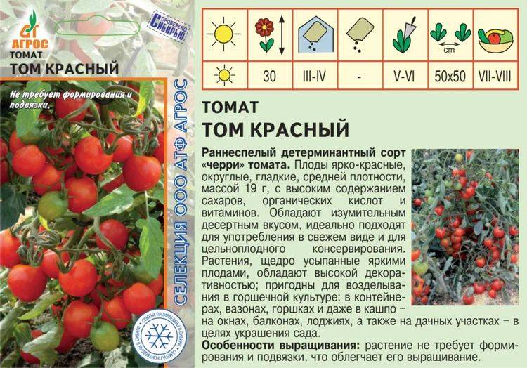 Томат никола — описание сорта, урожайность, фото и отзывы садоводов