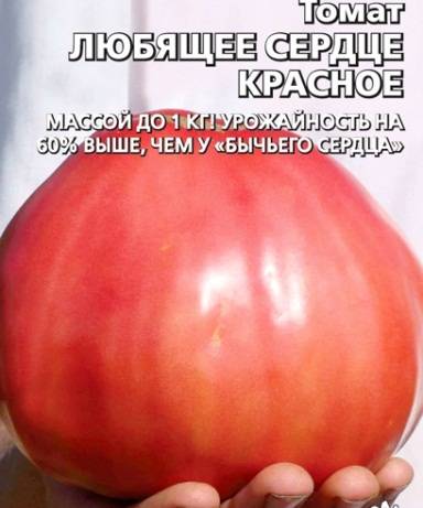 Томат любящее сердце характеристика и описание сорта
