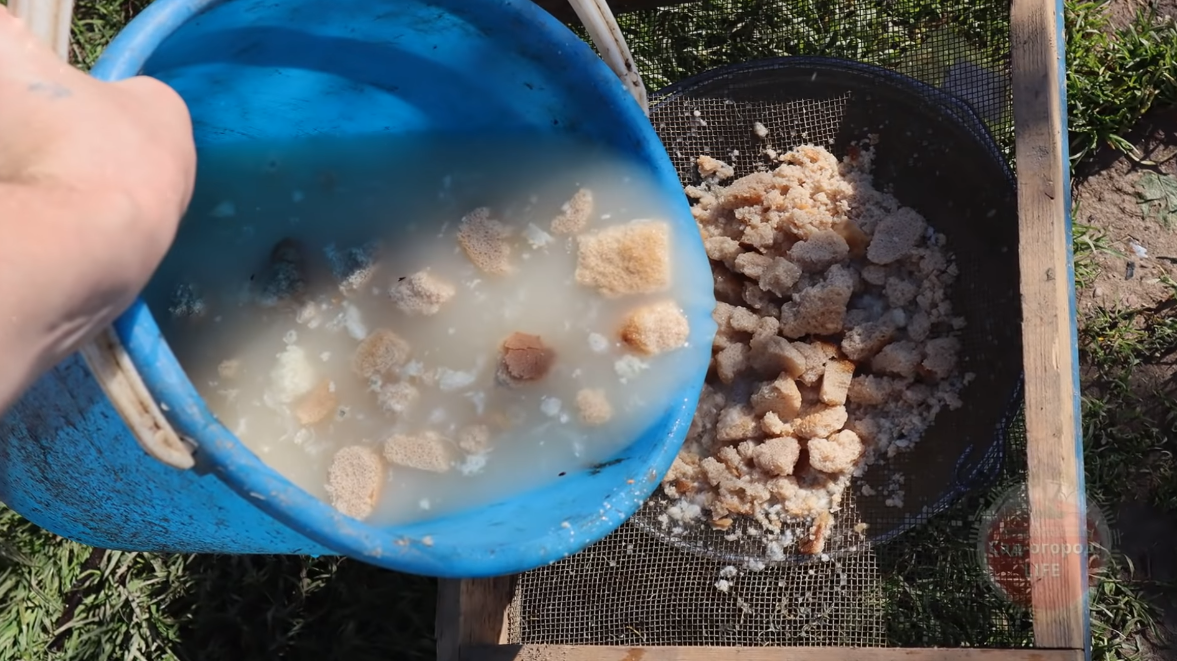 Подкормка огурцов в открытом грунте: рецепты, способы