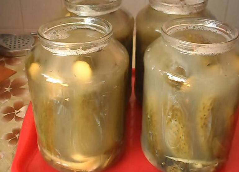 8 рецептов маринованных огурцов с горчицей на зиму