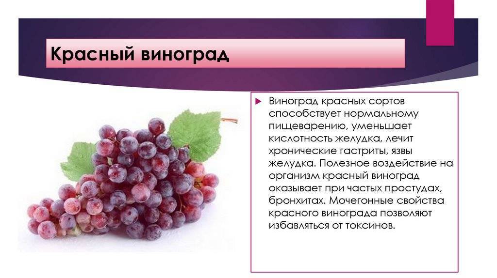 Чем полезен виноград — 10 свойств, подтверждённых научно