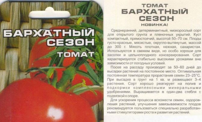 Какие сорта томатов для открытого грунта наиболее сладкие?