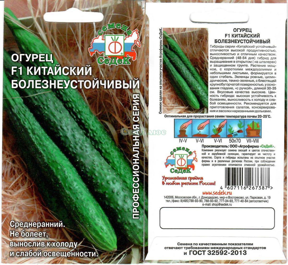 Лучшие сорта огурцов для открытого грунта — самоопыляемые огурцы для засолки