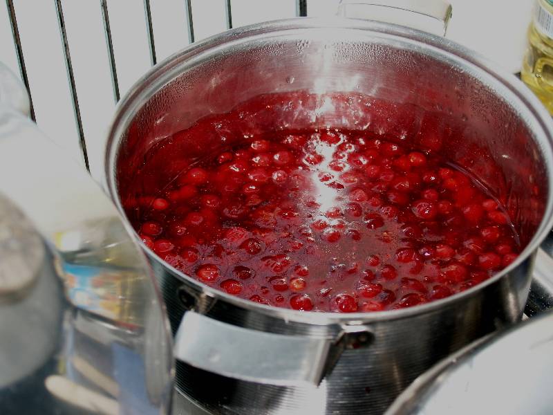 Как приготовить ягодный морс: топ-5 рецептов