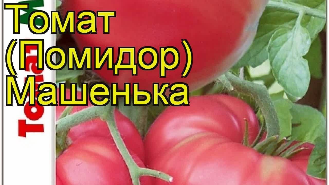 Топ-10 помидоров: ранние сорта низкорослые для открытого грунта