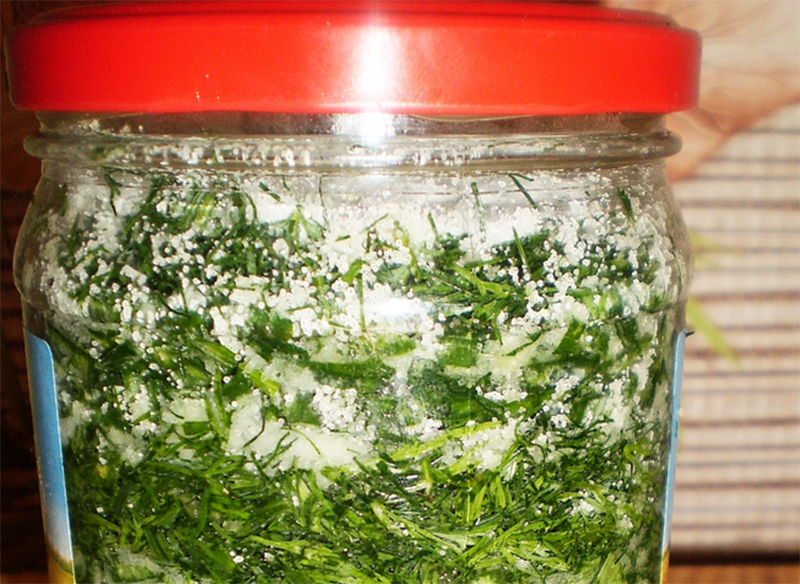 Зеленый лук – заготовка на зиму, заморозка, засолка, консервация + видео