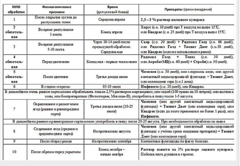 Весенняя обработка винограда от болезней – этапы и список препаратов