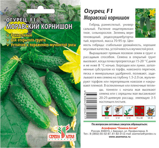 Огурец примадонна f1: отзывы, характеристики сорта, выращивание и урожайность