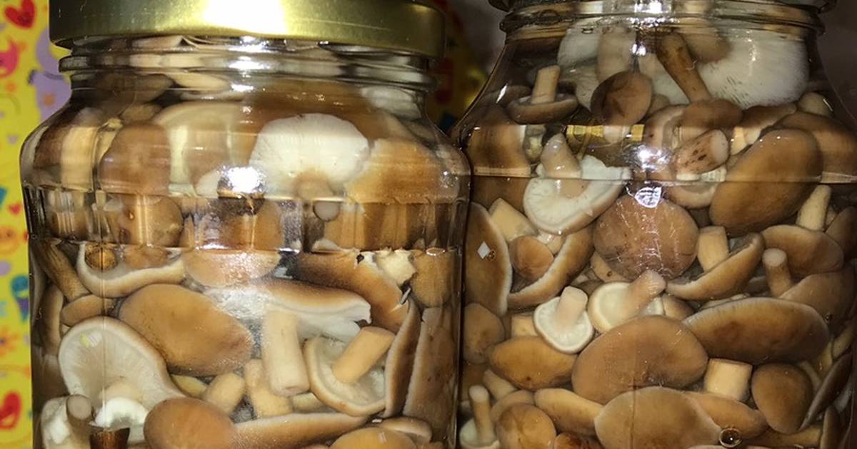 Закрыть грибы на зиму в банки рецепты приготовления с фото пошагово