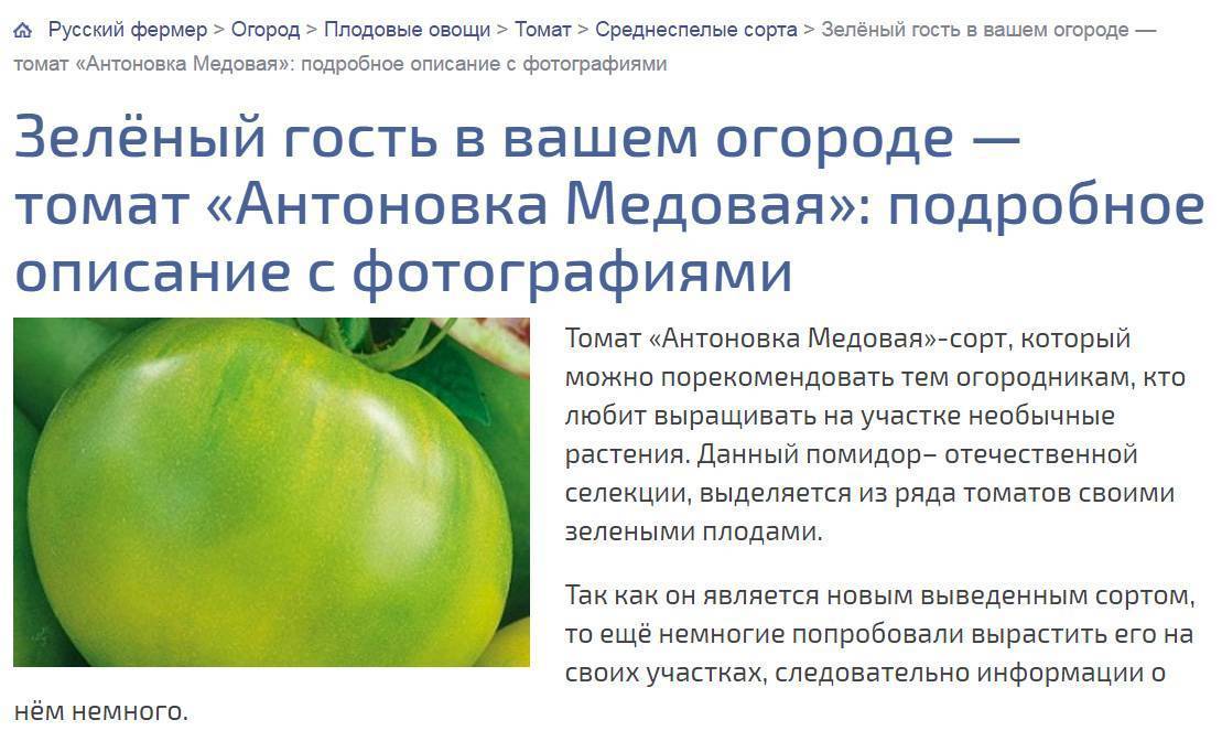 Томат бабушкин мед характеристика и описание сорта фото