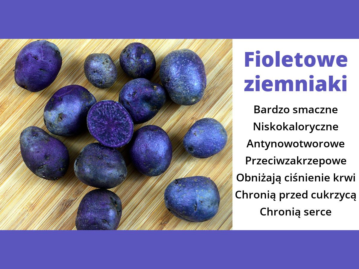 Фиолетовая картошка: что за сорт, польза, посадка и уход