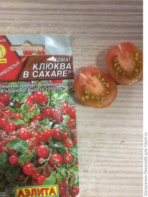 Томат «клюква в сахаре»: украсит любой стол