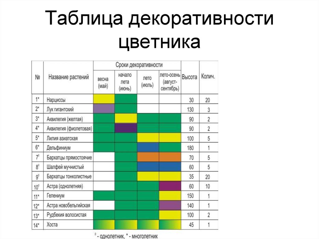 Астры многолетние: описание 13 видов, уход и посадка в домашних условиях, способы размножения и выращивания из семян (фото & видео) +отзывы
