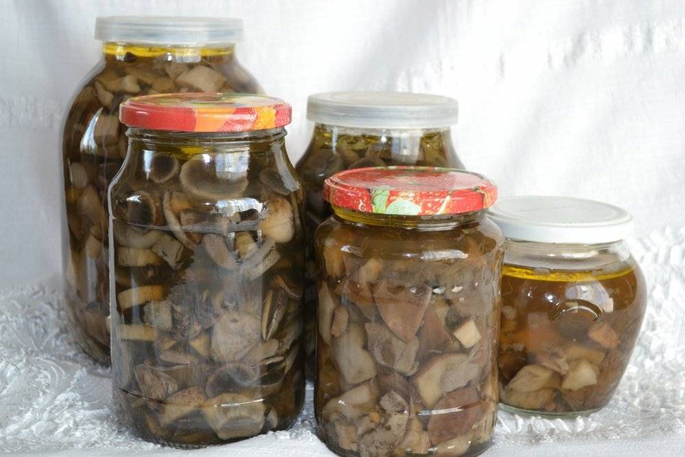 Грибы подосиновики, маринованные на зиму в банках: фото, рецепты приготовления грибных заготовок