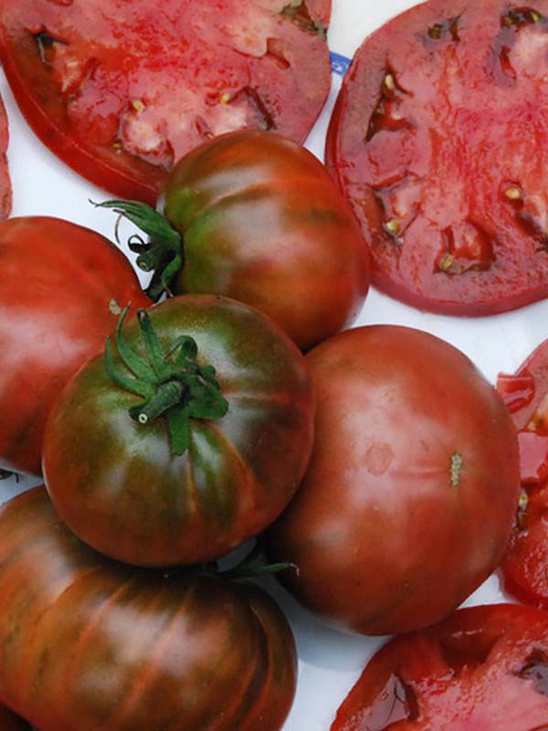 Томат черномор: отзывы об урожайности, характеристика и описание сорта, видео и фото помидоров