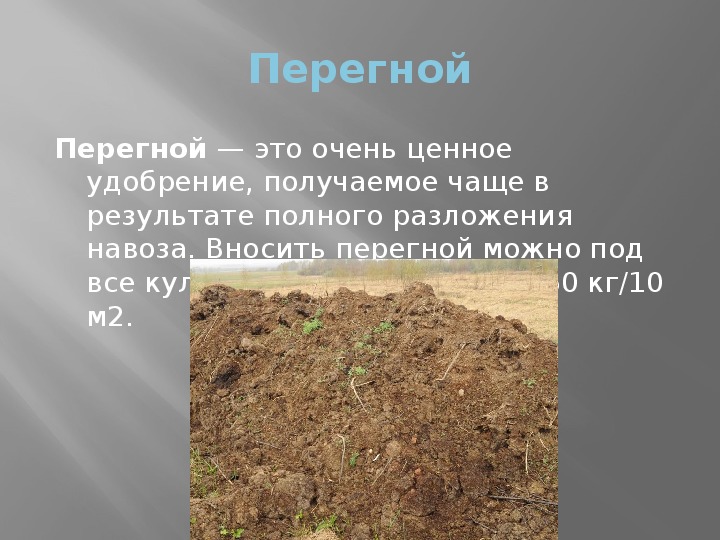 Агроном какую пользу и вред может принести торф на огороде в 2019 году