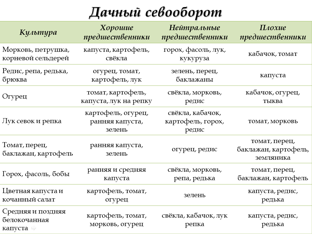 После овощей что сажать таблица