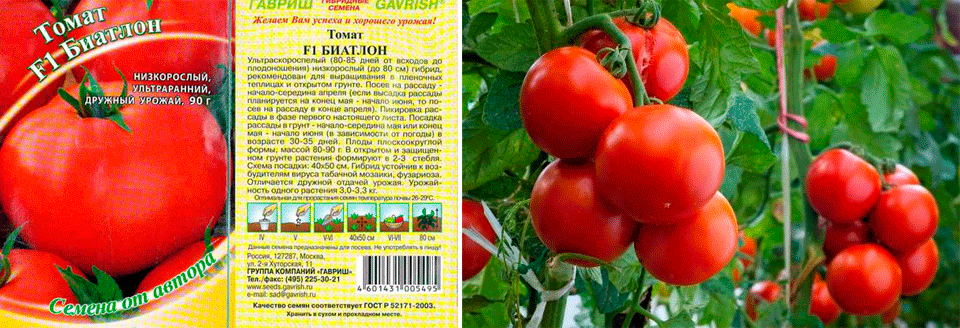 Лучшие сорта непасынкующихся томатов с описанием и фото