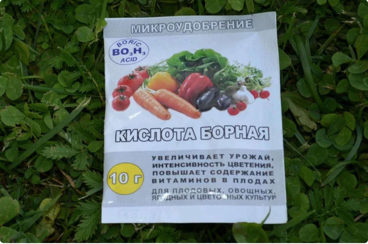 Борная кислота: применение в огороде и саду для клубники, томатов и огурцов, как применять?