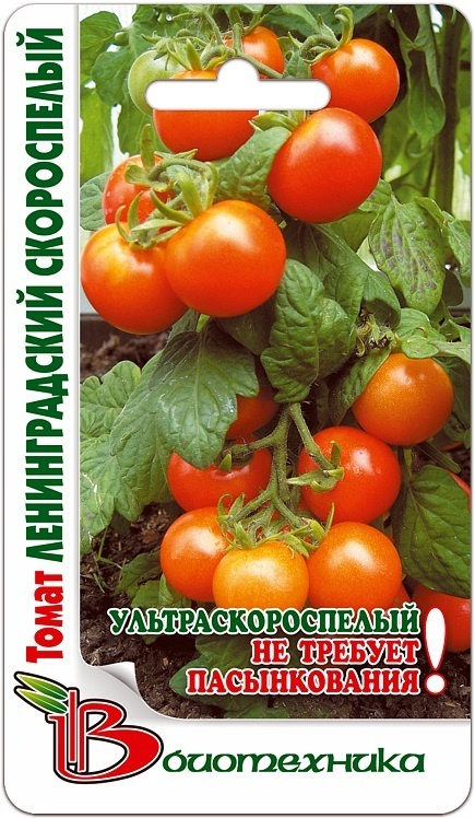 Характеристика и описание сорта томата ленинградский гигант, его урожайность