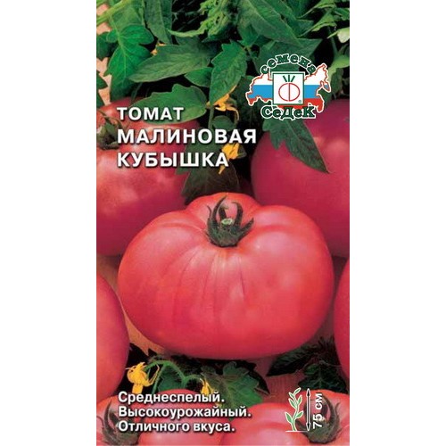 Устойчивый новичок от сибирских селекционеров — томат кубышка: отзывы и описание сорта