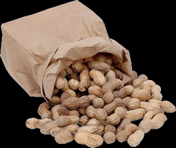 Срок годности арахиса обжаренного, сушенного и иного, а также как хранить очищенный, как измельчить, сделать с солью, муку, пасту в домашних условиях?