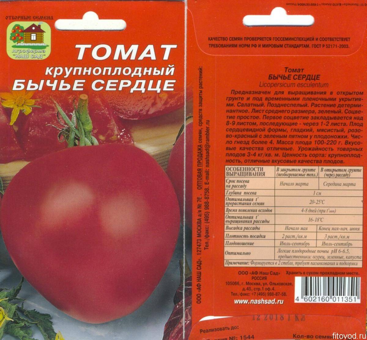 Характеристика и описание сорта томата минибел, его урожайность